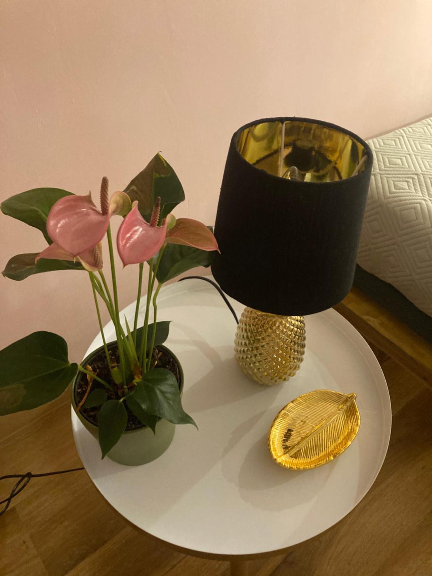 Duomo Suites Florencja Zewnętrze zdjęcie